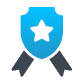 13 Years of Experience in Distribution Billing Software Development